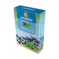 Al Fakher Blueberry with mint