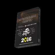 Хулиган 2016