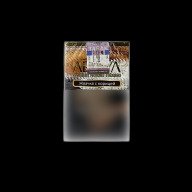 Adalya Chewinggum Cinnamon