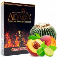 Adalya Tony's Destiny