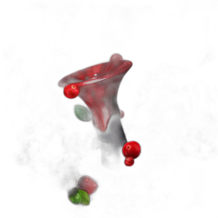 Табак Element Огонь Cranberries