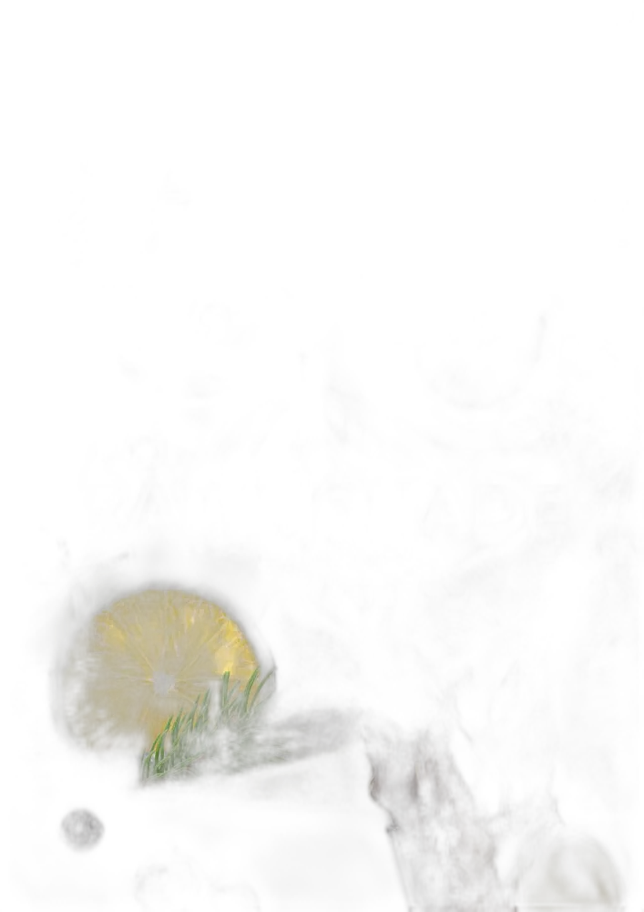 Табак Element V Пятый Элемент Rainmonade